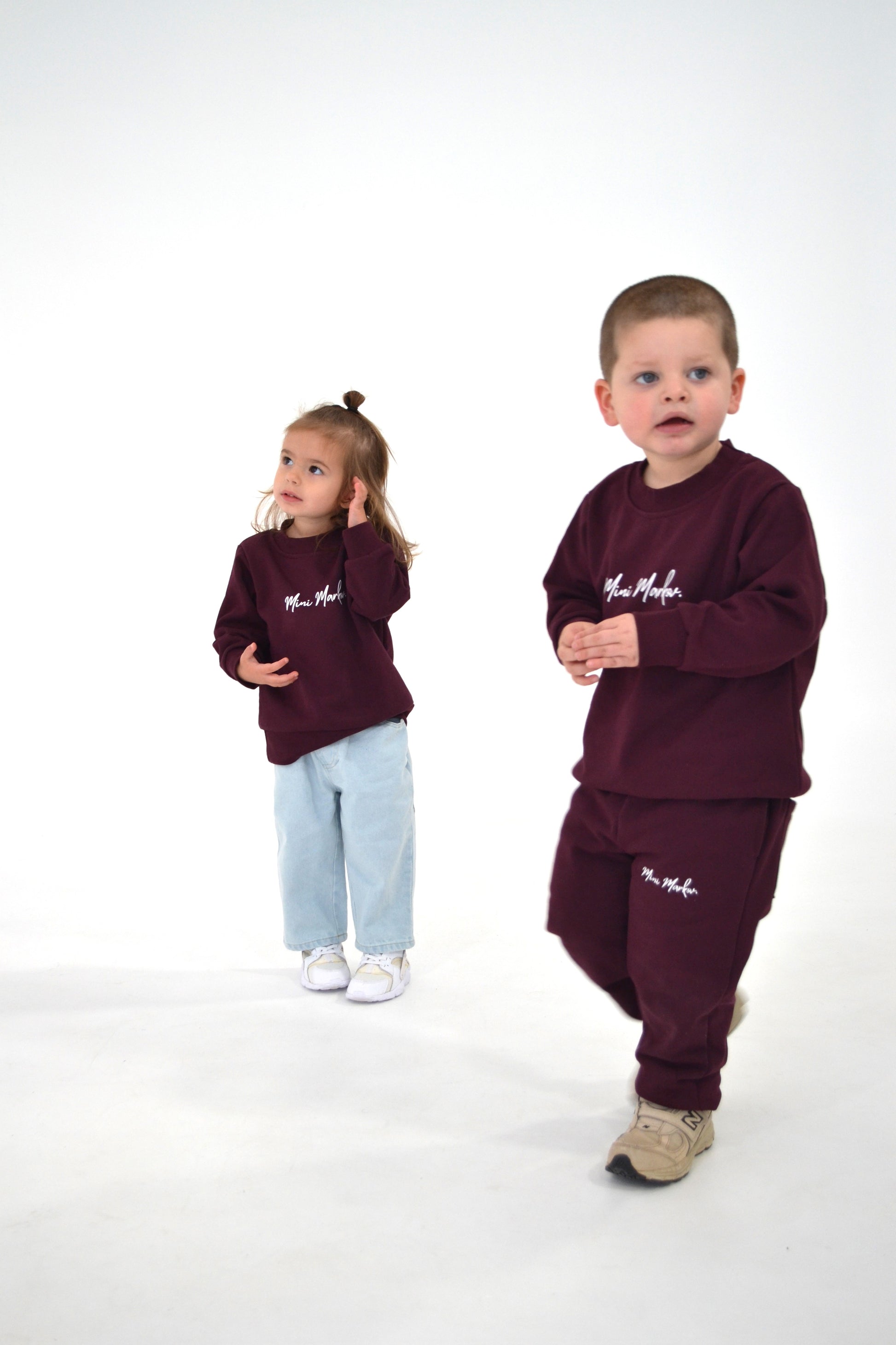 Sweatshirt in Plum